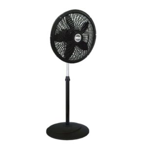 Abanico de Pedestal #18