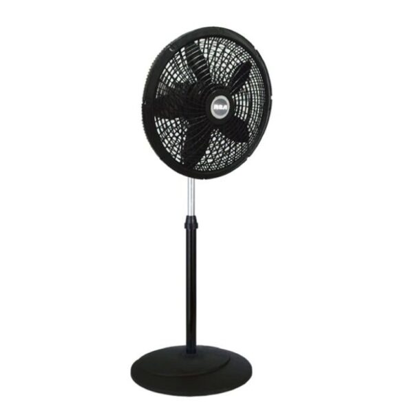 Abanico de Pedestal #18